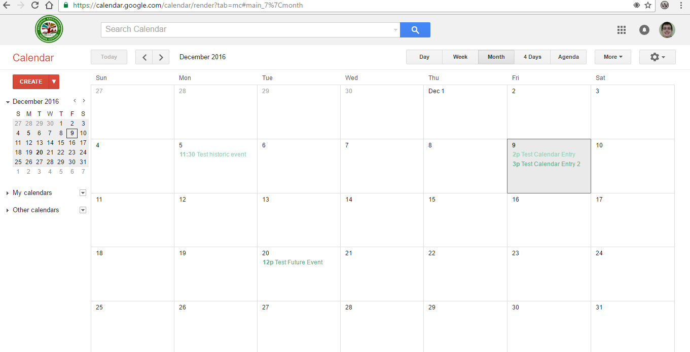 Google calendar display